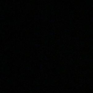 Meet your Posher, Izzy